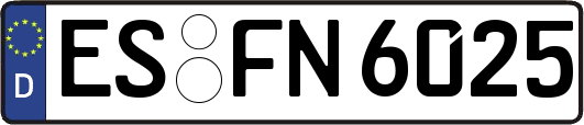 ES-FN6025
