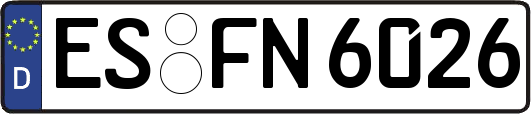 ES-FN6026