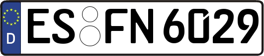 ES-FN6029
