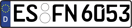 ES-FN6053