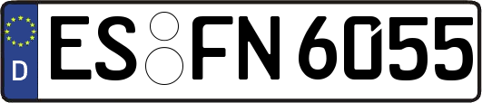 ES-FN6055