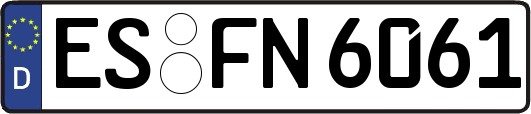 ES-FN6061