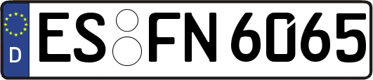 ES-FN6065