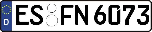 ES-FN6073