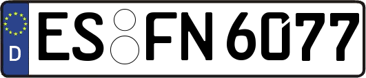 ES-FN6077