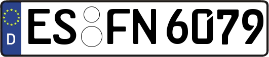 ES-FN6079