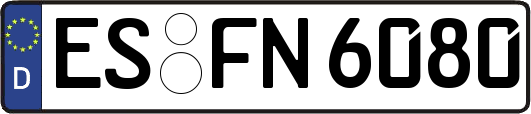 ES-FN6080