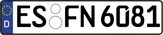 ES-FN6081