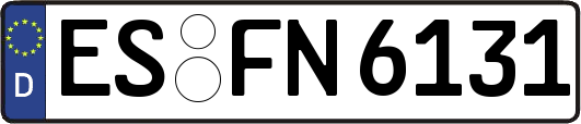 ES-FN6131