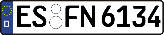 ES-FN6134