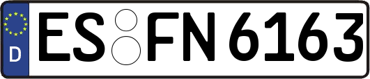 ES-FN6163