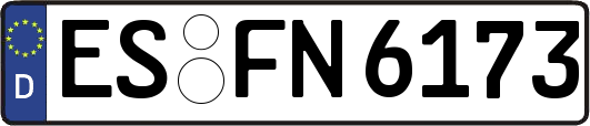 ES-FN6173
