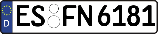 ES-FN6181