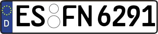 ES-FN6291