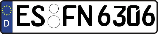 ES-FN6306