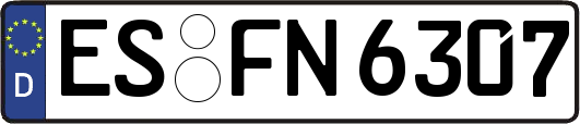 ES-FN6307