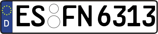 ES-FN6313