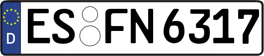 ES-FN6317