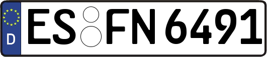 ES-FN6491