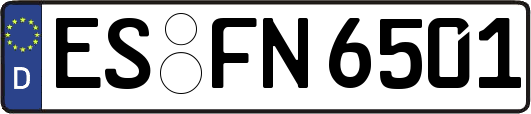 ES-FN6501