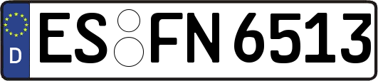 ES-FN6513