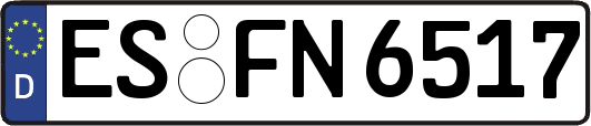 ES-FN6517