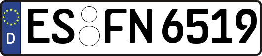 ES-FN6519