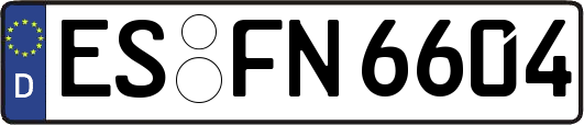 ES-FN6604