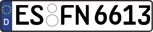 ES-FN6613