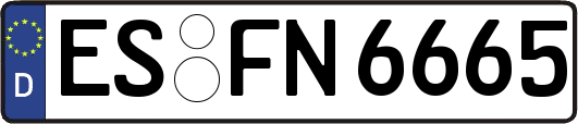 ES-FN6665