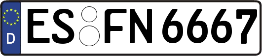ES-FN6667