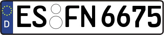 ES-FN6675