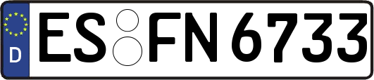 ES-FN6733