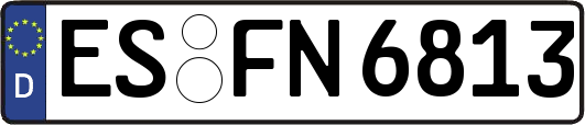 ES-FN6813