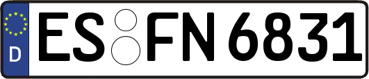 ES-FN6831