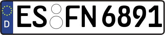 ES-FN6891