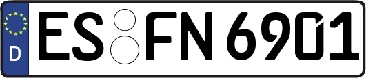 ES-FN6901