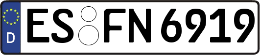 ES-FN6919