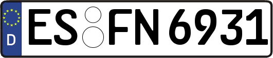 ES-FN6931