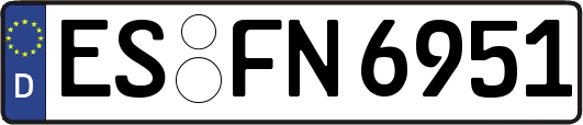 ES-FN6951