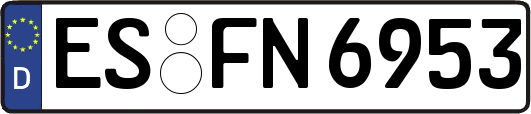 ES-FN6953