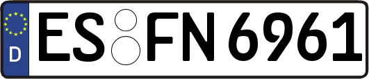 ES-FN6961