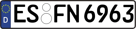ES-FN6963