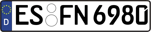 ES-FN6980