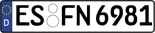 ES-FN6981