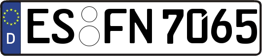 ES-FN7065