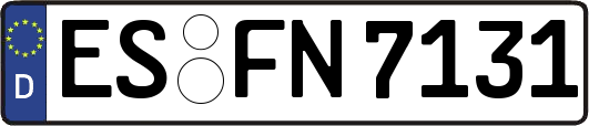 ES-FN7131