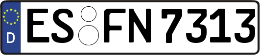ES-FN7313