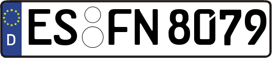 ES-FN8079
