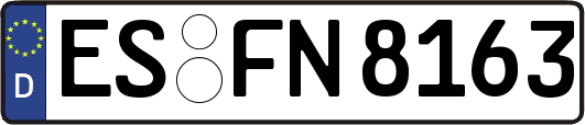 ES-FN8163